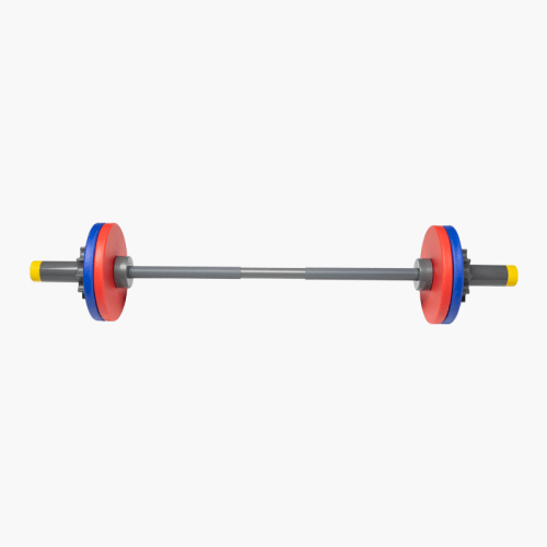 Rogue fitness gear deals